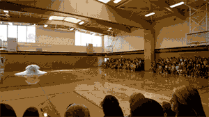 51a7570c5fbe32f8751b3fa41ddd.jpg
